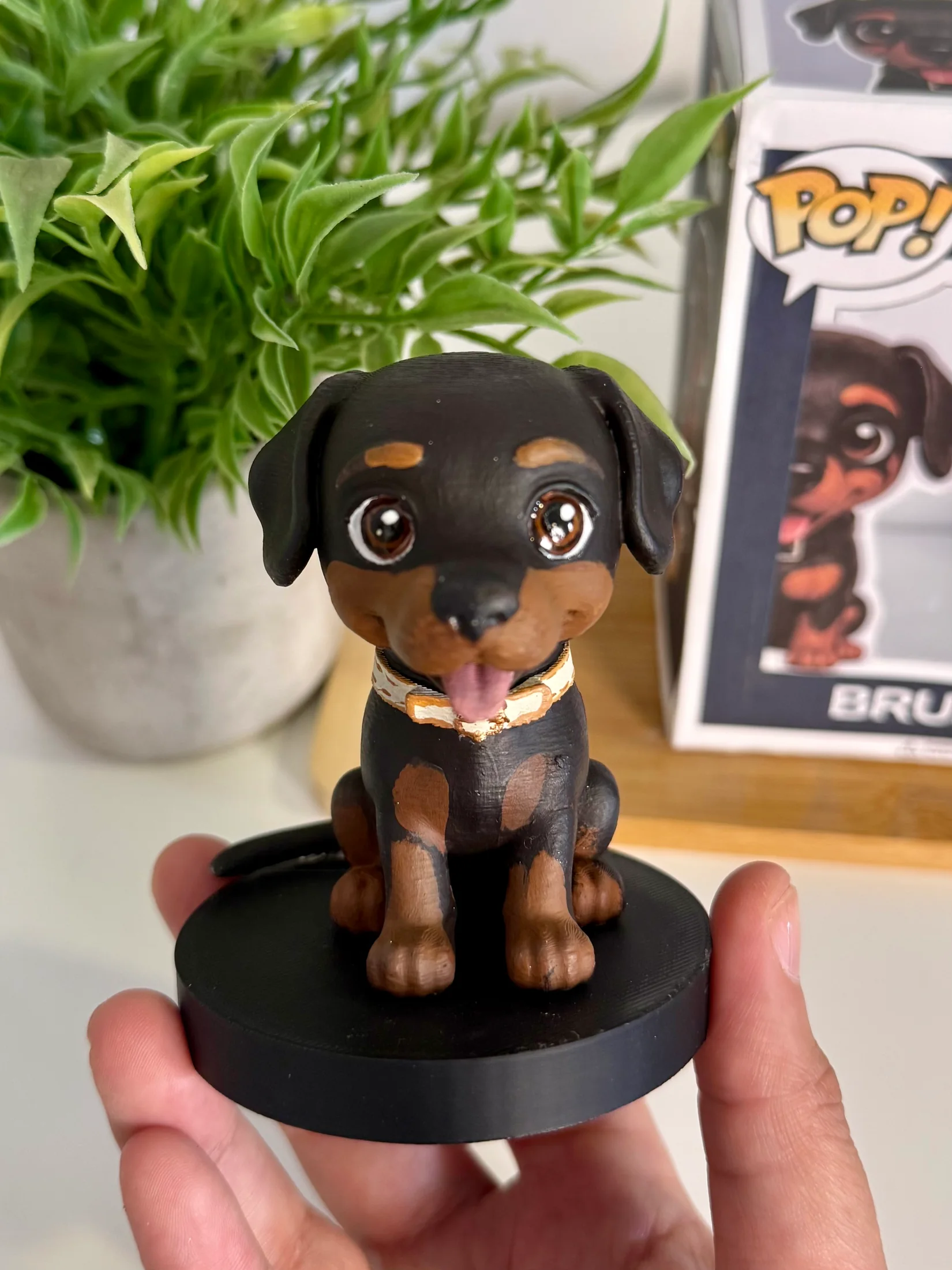 Mascotas